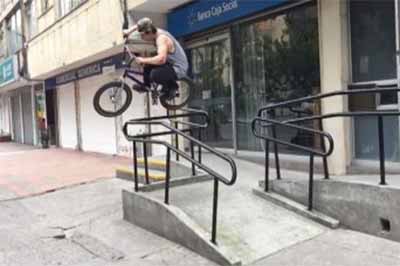 Animal Bikes David Correa