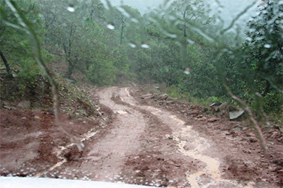 Espirito Surf Adiada