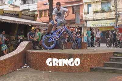 Role Flow - Gringo BMX